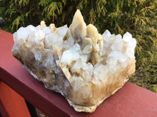 Load image into Gallery viewer, Golden Calcite Quartz Crystal Large 3 Lb. 4 oz. Cluster ~ 6&quot; Long ~ Awesome Big Sparkling White Phantom Clear Points ~ Fast &amp; Free Shipping