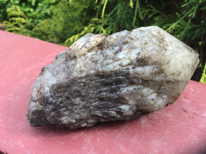 Citrine Elestial Crystal Large  8.9 oz. Cluster ~ 4" Long ~ Natural African Congo ~ Big Smokey Earthen Quartz Formation ~ Reiki Meditation