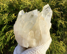 Load image into Gallery viewer, Elestial Lemurian Frosted Quartz Large 1 lb. Cluster ~ 3&quot; Tall ~ Stunning Long Big Points ~ Home Décor, Altar, Reiki, Rare Crystal Display