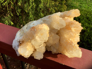 Elestial Quartz Crystal Large 8 Lb. Cluster ~ 8" Long ~ Big Tibetan Golden Healer ~ Natural Sparkling Gold Crystal Points ~ Fast Shipping