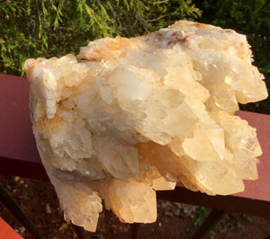 Elestial Quartz Crystal Large 8 Lb. Cluster ~ 8" Long ~ Big Tibetan Golden Healer ~ Natural Sparkling Gold Crystal Points ~ Fast Shipping