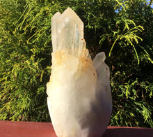 Load image into Gallery viewer, Elestial Golden Lemurian Frosted Quartz Large 1 lb. 10 oz. Cluster ~ 6&quot; Tall ~ Stunning Long Points ~ Décor, Altar, Reiki, Crystal Display