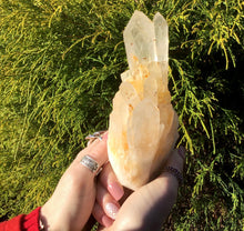 Load image into Gallery viewer, Elestial Golden Lemurian Frosted Quartz Large 1 lb. 10 oz. Cluster ~ 6&quot; Tall ~ Stunning Long Points ~ Décor, Altar, Reiki, Crystal Display