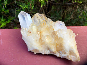 Elestial Quartz Crystal Big 5.6 oz. Cluster ~ 4" Long ~ Clear Golden Healer ~ Altar Display ~ Meditation Reiki Stone ~ Fast & Free Shipping