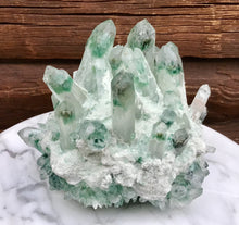Load image into Gallery viewer, Aura Phantom Cactus Quartz Crystal Large 8 Lb. Cluster ~ 8&quot; Long ~ Sparkling Green Goddess Phantom Inclusions ~ Free &amp; Fast Shipping