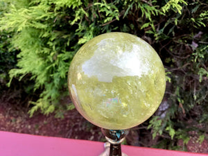 Citrine Crystal Ball Ultra Clear Yellow Quartz Large 12 oz. Sphere ~ 2" Wide ~ Sparkling Rainbow Prism Inclusions ~ Altar, Reiki Display