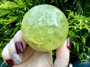 Citrine Crystal Ball Ultra Clear Yellow Quartz Large 12 oz. Sphere ~ 2" Wide ~ Sparkling Rainbow Prism Inclusions ~ Altar, Reiki Display