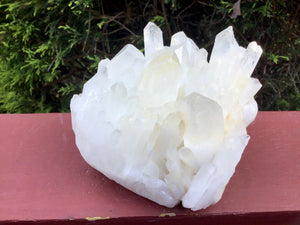 Elestial Lemurian Frosted Quartz 1 lb. 15 oz. Cluster ~ 4" Long ~ Stunning Long Big Points ~ Home Décor, Altar, Reiki Rare Crystal Display