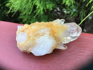 Elestial Crystal 2.3 oz. Wand ~ 2 1/2" Long ~ Clear Quartz Golden Healer Meditation, Handheld Size ~ Sparkling Inclusions ~ Fast Shipping