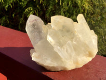 Load image into Gallery viewer, Elestial Lemurian Frosted Quartz Large 1 lb. Cluster ~ 3&quot; Tall ~ Stunning Long Big Points ~ Home Décor, Altar, Reiki, Rare Crystal Display