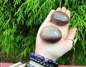 Bloodstone Duo of Polished Palm Stones ~ Beautiful Red, Green and White Colors ~ Perfect for Meditation, Sharing, Altar, Grids, Reiki, Gifts