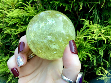 Citrine Crystal Ball Ultra Clear Yellow Quartz Large 12 oz. Sphere ~ 2