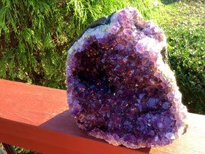 Amethyst Crystal Quartz Large 6 lb. 15 oz. Cluster ~ 6" Tall ~ Reiki Display Specimen ~ Big Beautiful Purple Points ~ Fast & Free Shipping