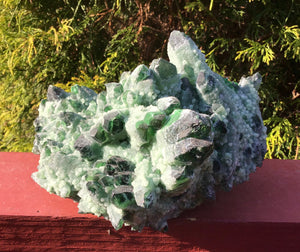 Cactus Quartz Crystal Large 5 lb. 6 oz. Cluster ~ 5" Tall ~ Sparkling Emerald Green Phantom Aura Druzzy ~ Reiki, Feng Shui, Altar Display