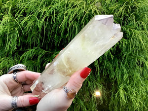 Citrine High Altitude Himalayan Quartz Crystal Point Large 1 Lb. 1 oz. Wand ~ 7 1/2" Long ~ Museum Quality ~ Yellow Phantom Inclusions