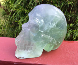 Fluorite Crystal Quartz Large 2 Lb. 5 oz. Skull ~ 4" Tall Hand Carved Life Size ~ Translucent Green Crystal Sculpture ~ Fast & Free Standing