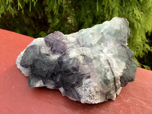 Fluorite Crystal Large 9.4 oz. Cluster ~ 4“ Long ~ Rare Purple Colors ~ Sparkling Matrix ~ Sacred Geometry Formation ~ Fast & Free Shipping