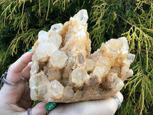 Load image into Gallery viewer, Elestial Golden Healer Large 2 Lb. 15 oz. Cluster ~ 4&quot; Tall ~ Rare Frosted Multi Points ~ Stunning Crystal Quartz Display ~ Free Shipping