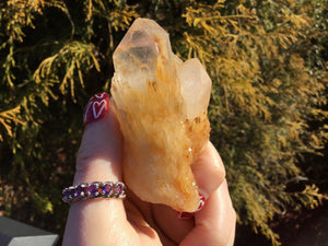 Elestial Quartz Crystal Big 3 oz. Cluster ~ 2 1/2" Long ~ Tibetan Golden Healer ~ Natural Sparkling Gold Crystal Points ~ Fast Free Shipping