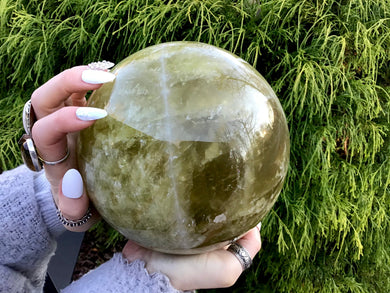 Citrine Crystal Ball Large 11 lb. Polished Quartz Sphere ~ 6