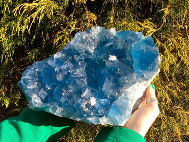Fluorite Crystal Quartz Large 18 lb. 11 oz. Cluster ~ 10