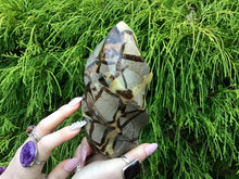 Load image into Gallery viewer, SOLD OUT ~ Reserved for Sharon ~ Payment 5 of 5 ~ Septarian Dragon Stone Large 2 Lb. 9 oz. Flame ~ 6&quot; Tall ~ Sparkling Crystal Display