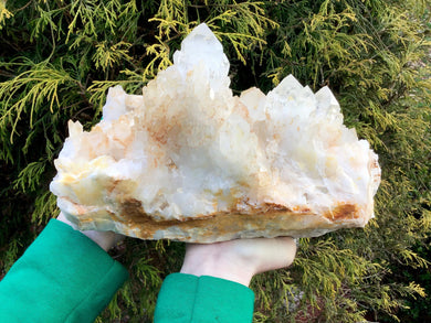 Elestial Crystal Quartz Large 10 Lb. 14 oz. Golden Healer Cluster ~ 10