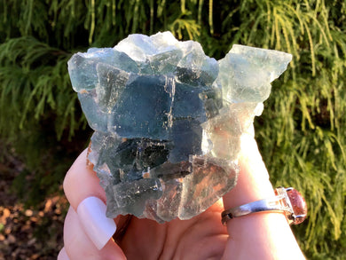 Fluorite Crystal Big 4 oz. Cluster ~ 3“ Long ~ Rare Blue Green Colors ~ Sparkling Matrix ~ Sacred Geometry Formation ~ Fast & Free Shipping
