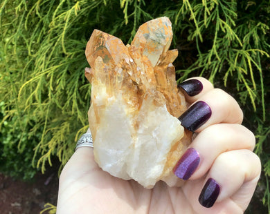 Elestial Quartz Crystal Large 8 oz. Golden Healer Tibetan Cluster ~ 3