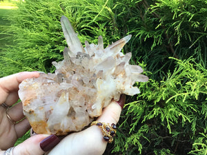 Lemurian Frosted Clear Quartz 1 lb. Cluster ~ 5" Long ~ Stunning Long Big Points ~ Ancient Sand Inclusions ~ Altar, Reiki Crystal Display