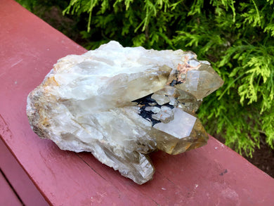 Citrine Elestial Crystal Large 11 oz. Cluster ~ 4