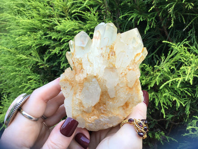 Tibetan Elestial Quartz Crystal Large 15 oz. Golden Healer Cluster ~ 4