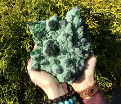 Cactus Quartz Crystal Large 5 lb. 6 oz. Cluster ~ 5