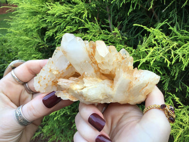 Elestial Golden Healer Tibetan Quartz Crystal Large 10 oz. Cluster ~ 5