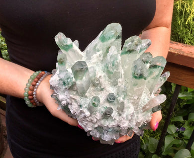 Aura Phantom Cactus Quartz Crystal Large 8 Lb. Cluster ~ 8